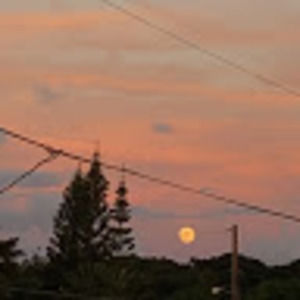 Meet your Posher, Jayna k.